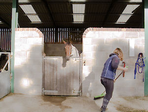 Field Farm Cross Country Stables